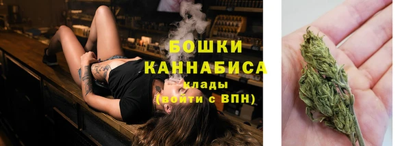 гидропоника Балабаново